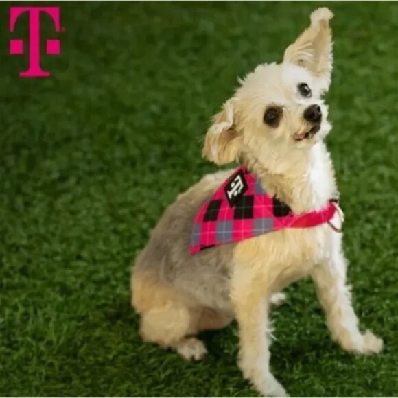 T-Mobile Tuesday Adjustable Pet Bandana Collar - Large - Picture 1 of 6